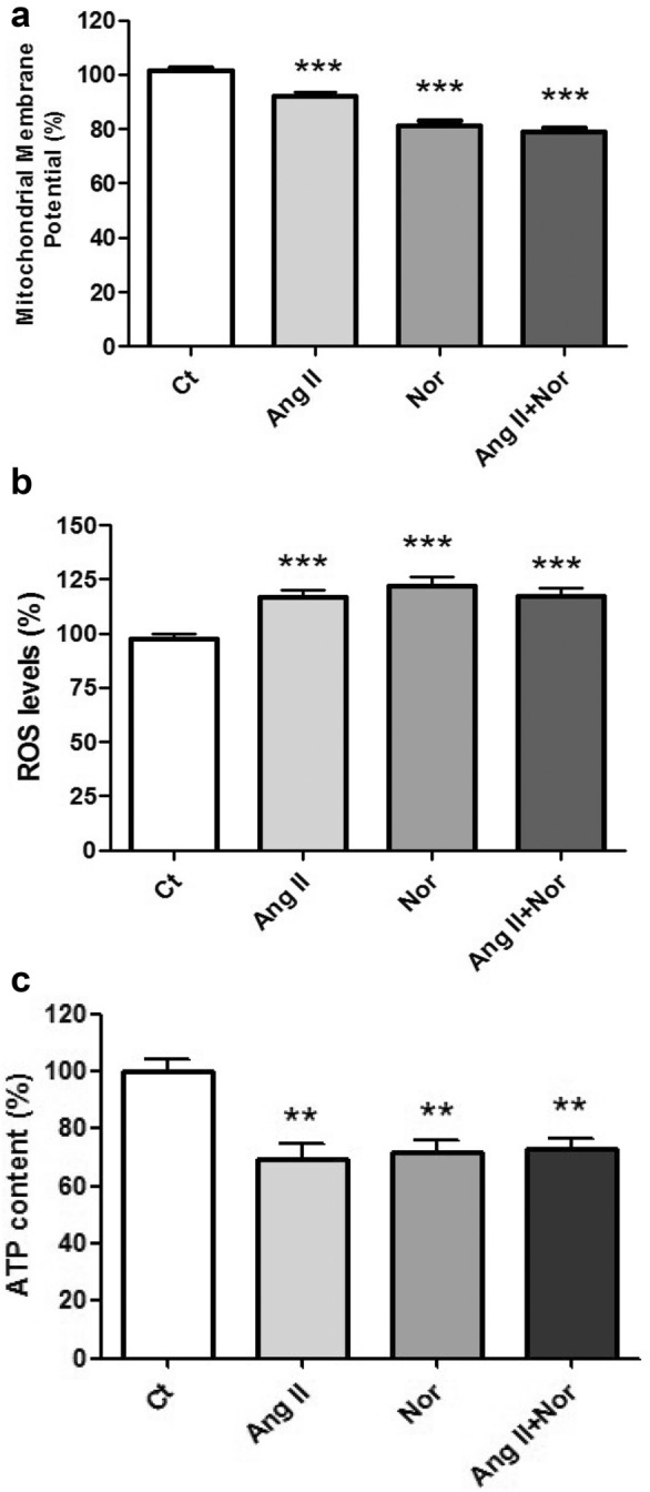 Fig. 13