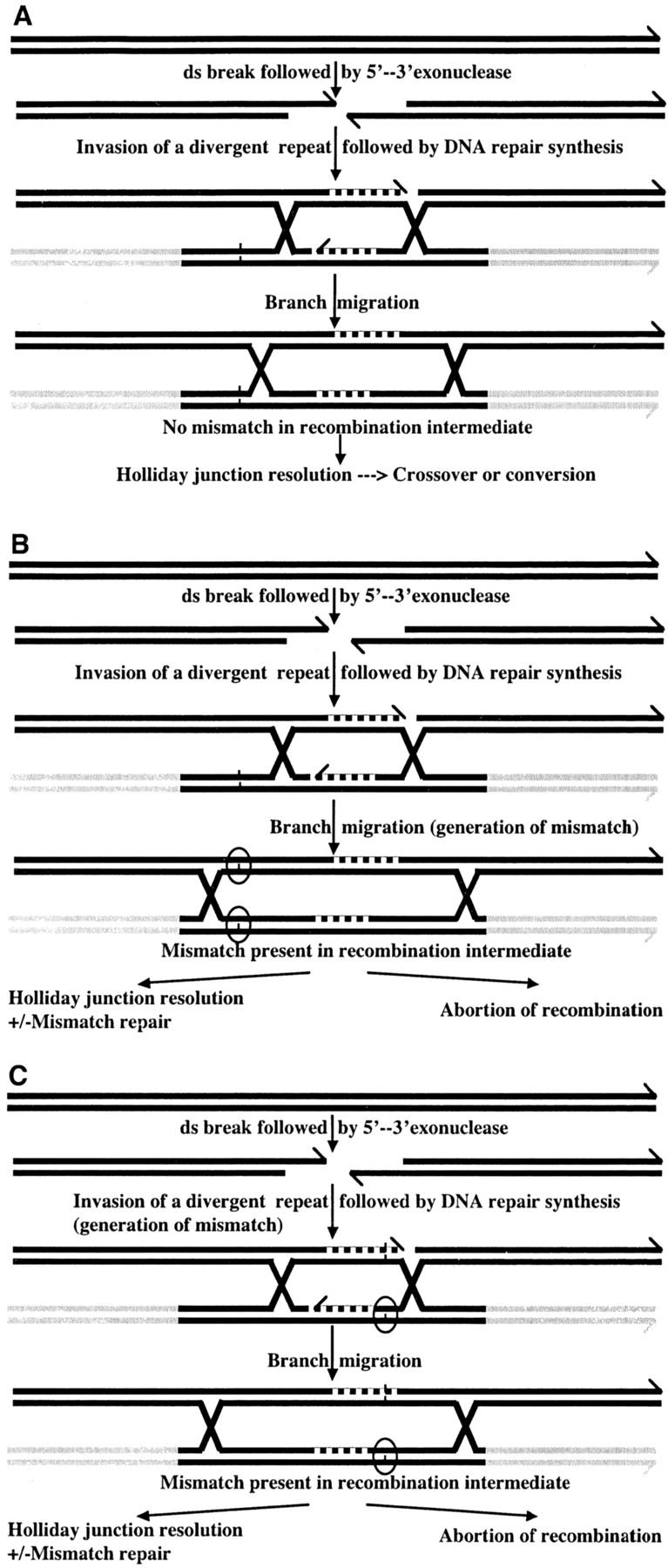 Figure 6.—