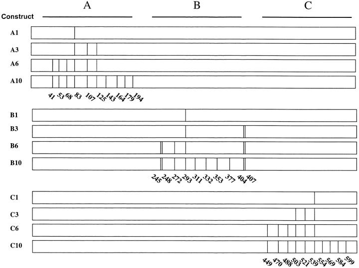 Figure 2.—