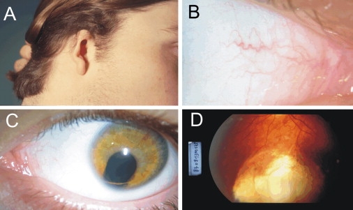 Figure 1