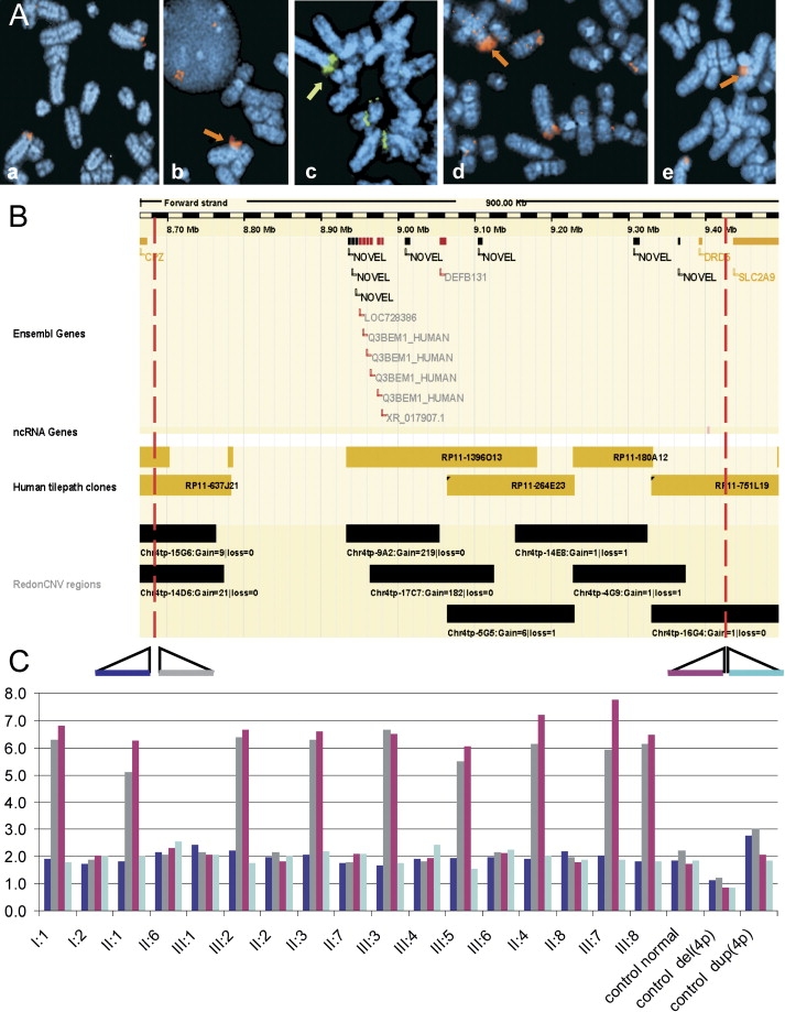 Figure 5