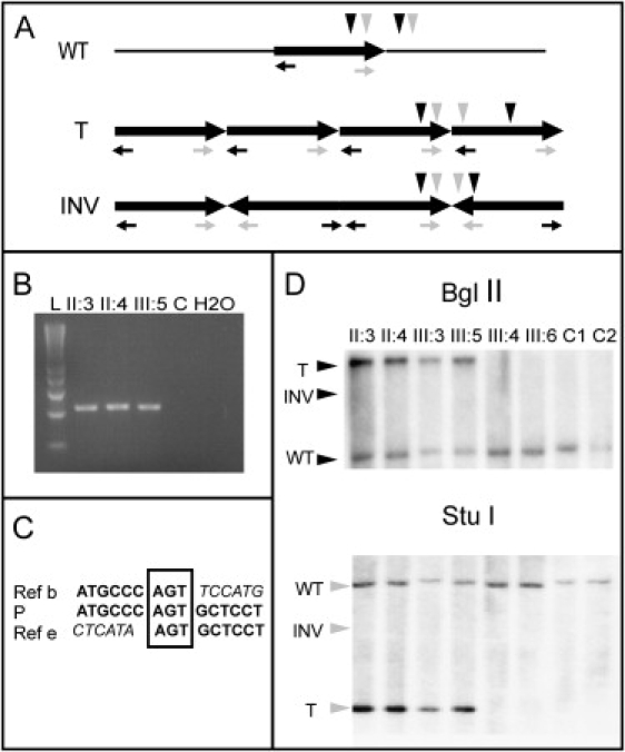 Figure 6