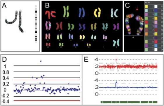 Figure 4