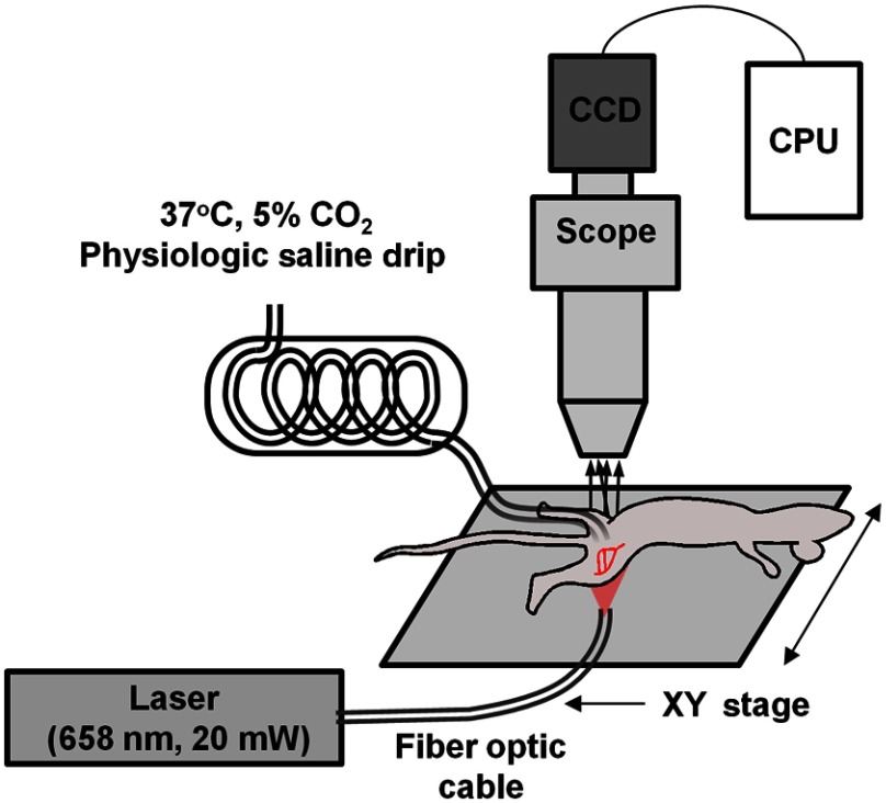 Fig. 1