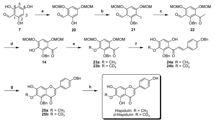 Scheme 5