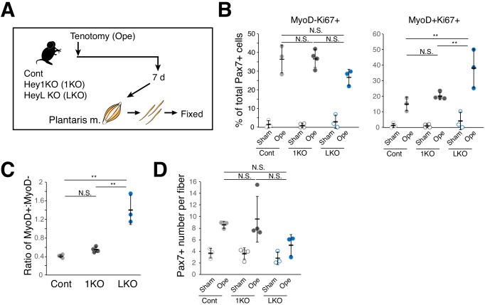 Figure 4—figure supplement 1.