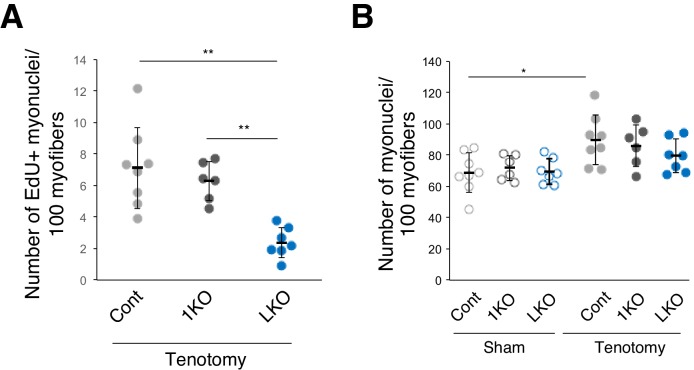 Figure 5—figure supplement 1.