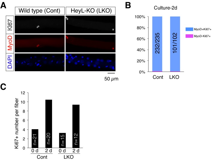 Figure 4—figure supplement 3.