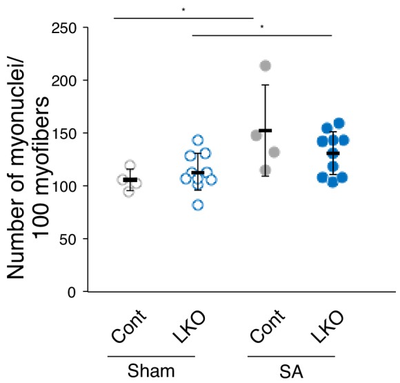 Figure 6—figure supplement 1.