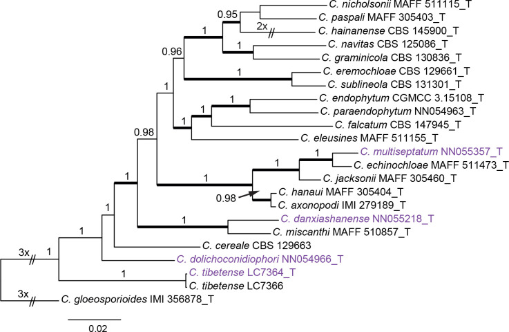 Fig. 3.