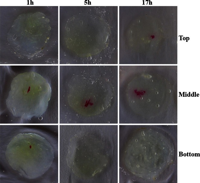 Figure 6