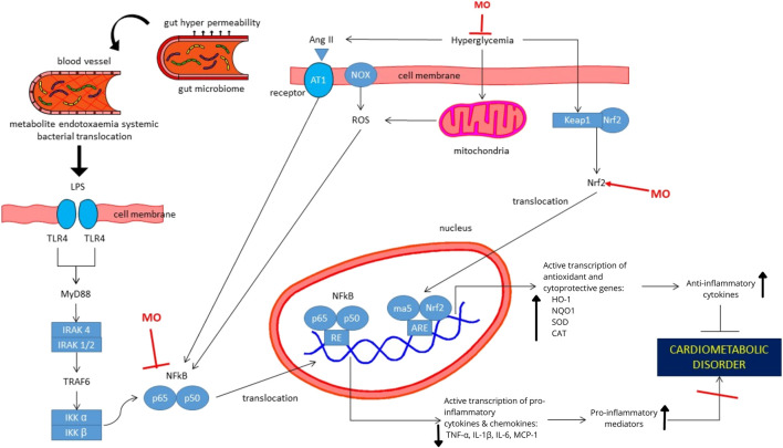 FIGURE 2