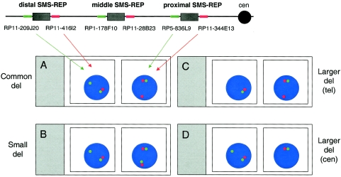 Figure  2