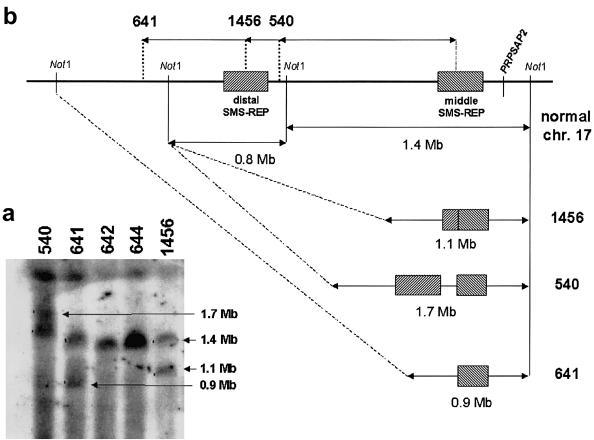 Figure  5