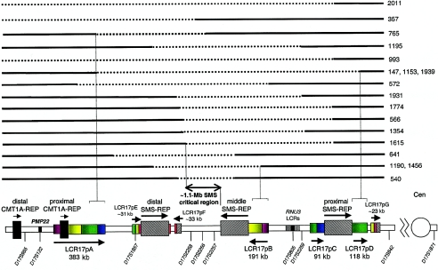 Figure  1