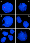 Figure  4