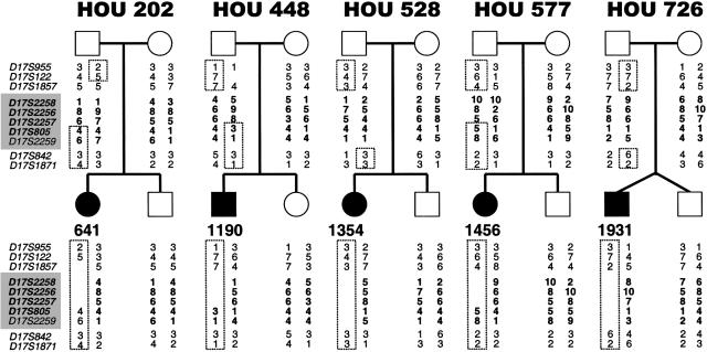 Figure  6