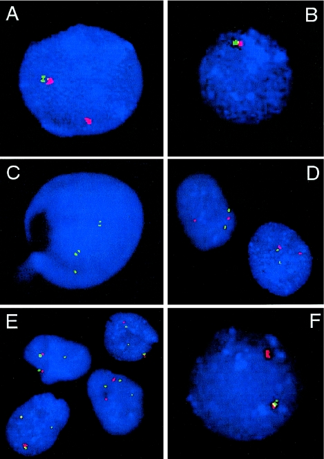 Figure  4