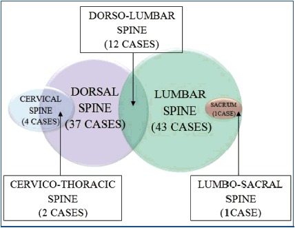 [Table/Fig-6]: