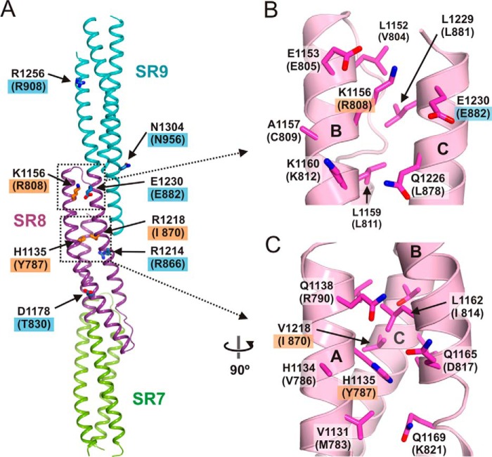 FIGURE 12.