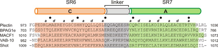 FIGURE 11.