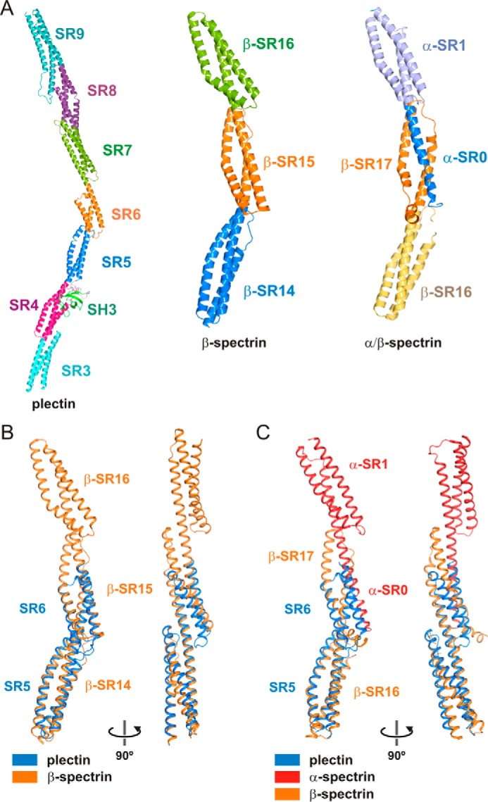 FIGURE 9.