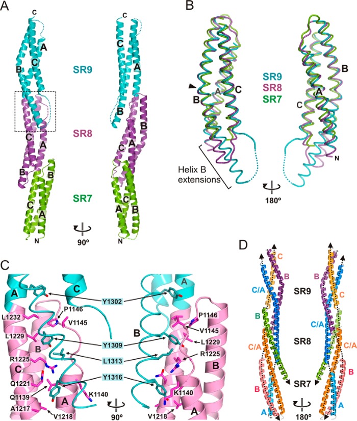 FIGURE 5.