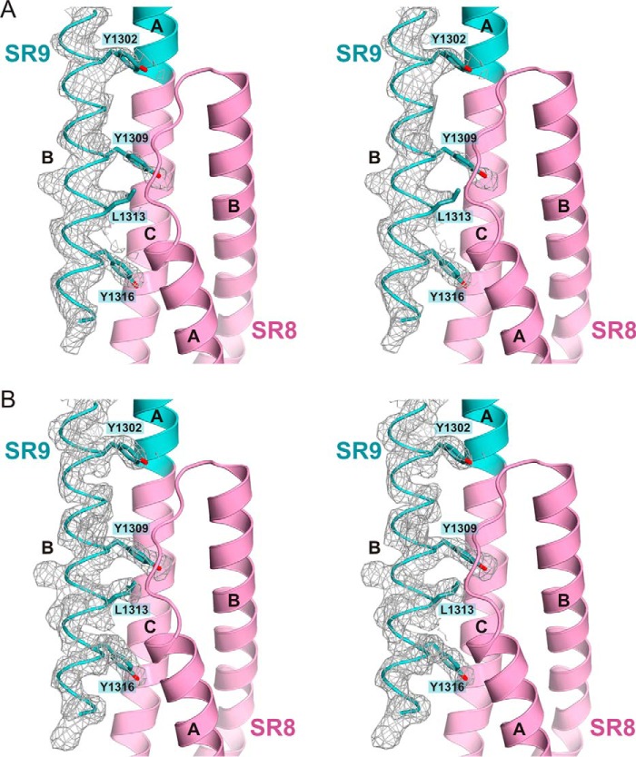 FIGURE 6.