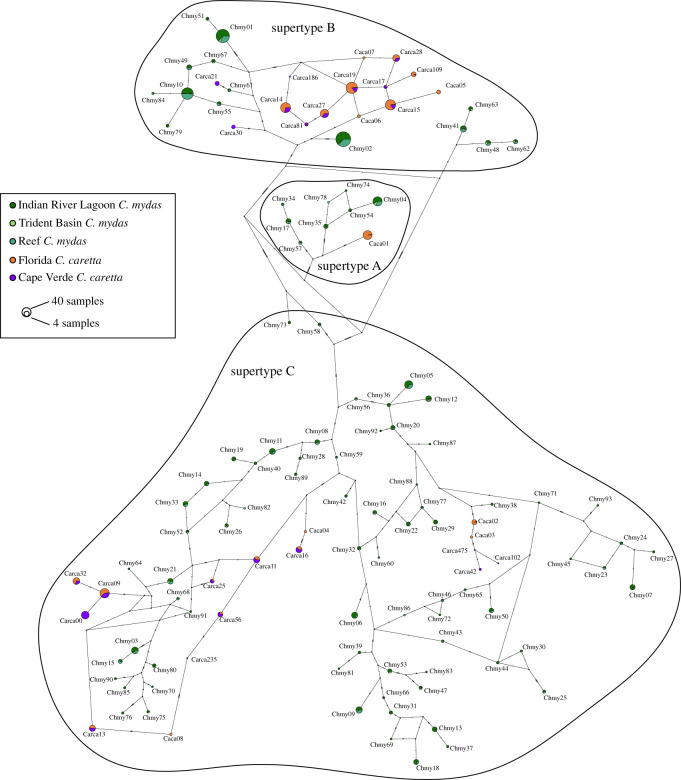 Figure 3. 