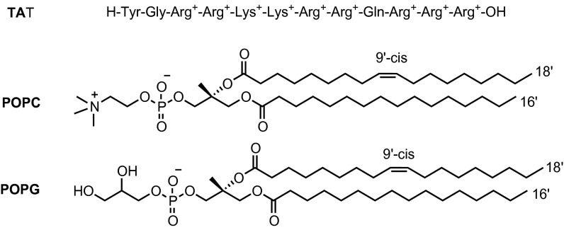 Scheme 1.