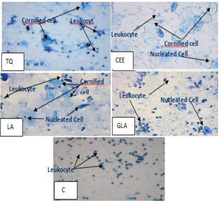 Figure 4.