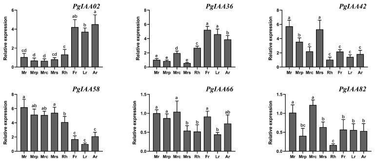 Figure 7