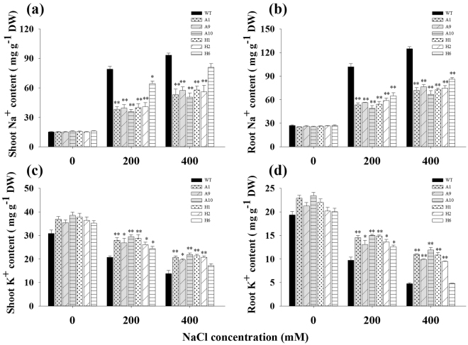 Figure 7