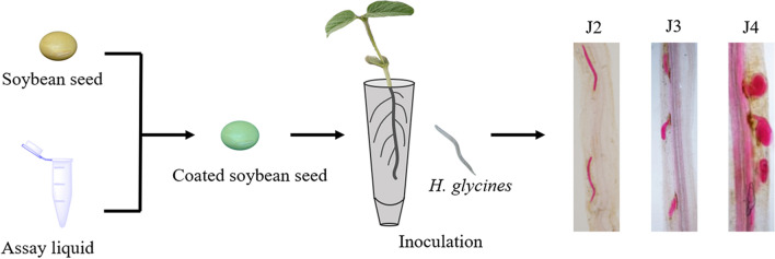 Figure 14