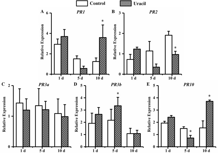 Figure 13