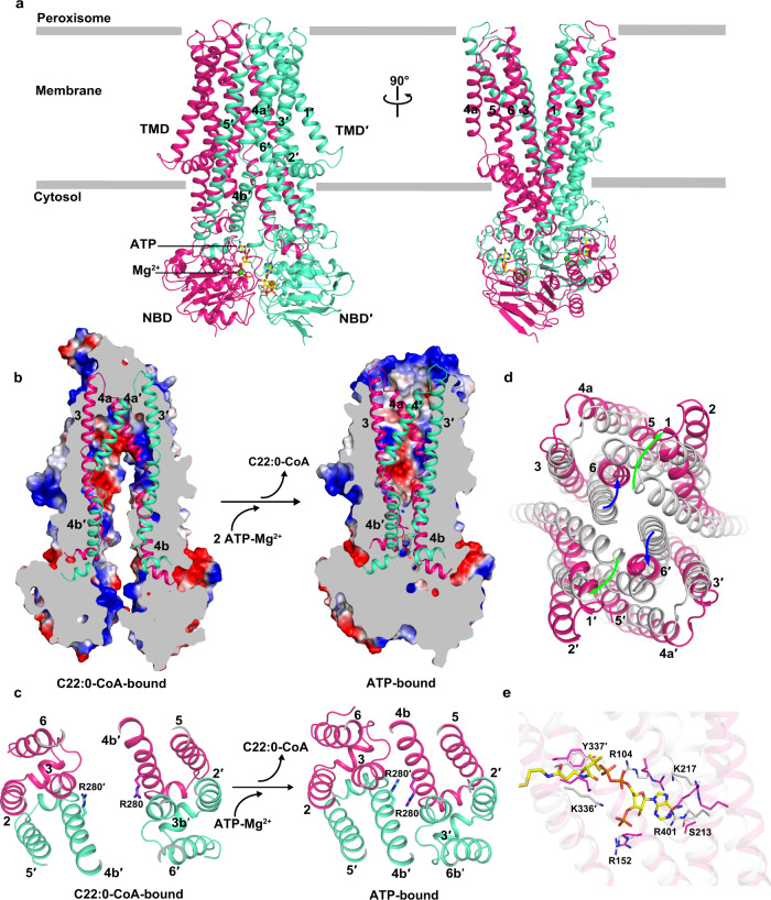 Fig. 4