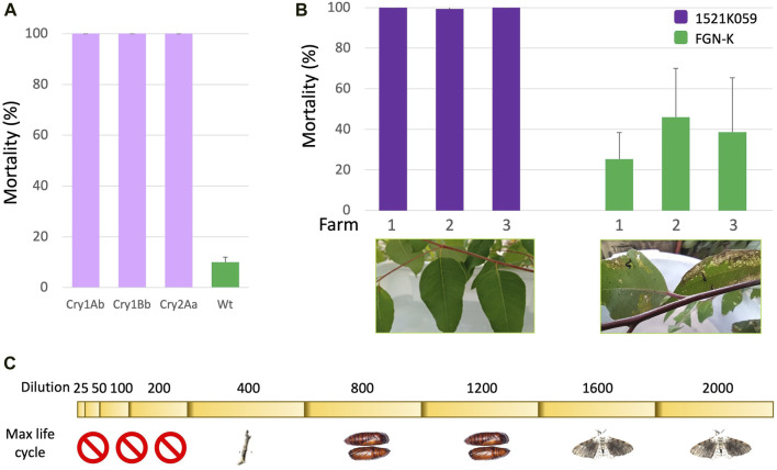 FIGURE 2