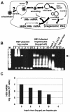 FIG. 2.