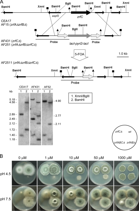 Fig. 4.