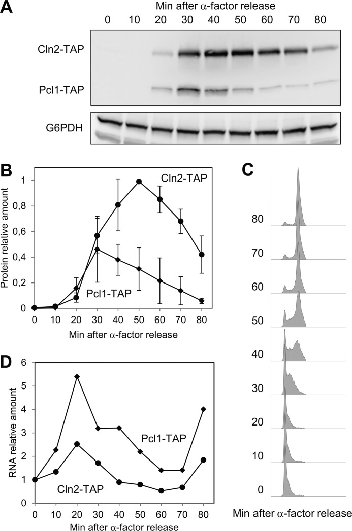 FIGURE 1.