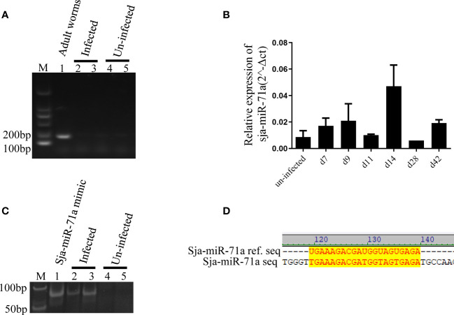 Figure 3