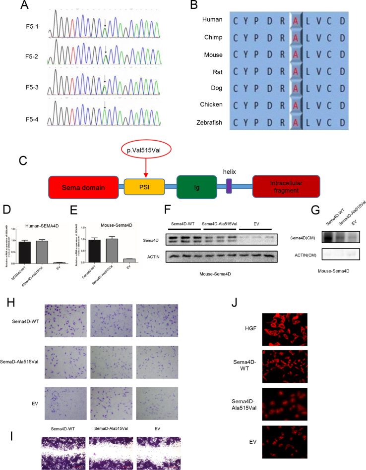 Supplementary Fig. 1