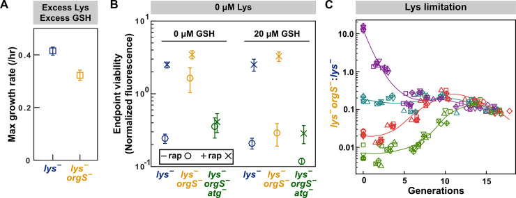 Fig 6