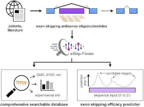 Graphical Abstract