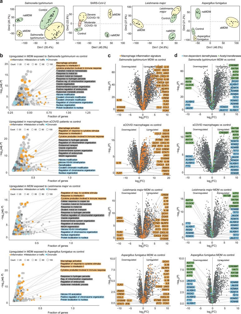 Extended Data Fig. 7