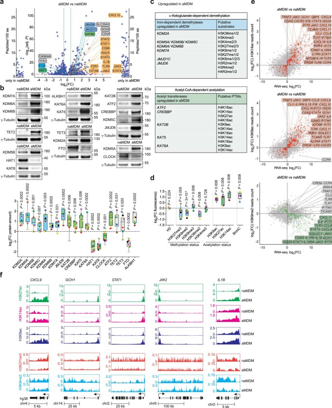 Extended Data Fig. 8