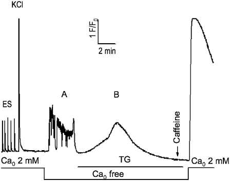 FIGURE 8