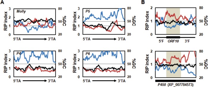 FIG 2