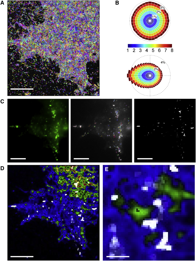 Figure 4