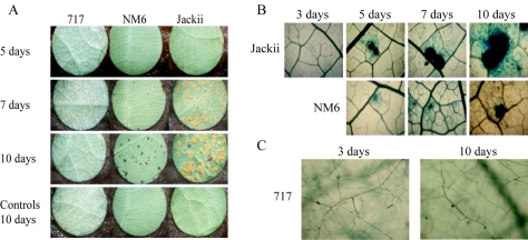 FIG. 2.